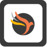 Phoenix Project Manager logo